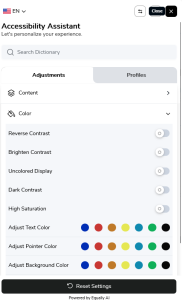 accessibility vision assistant