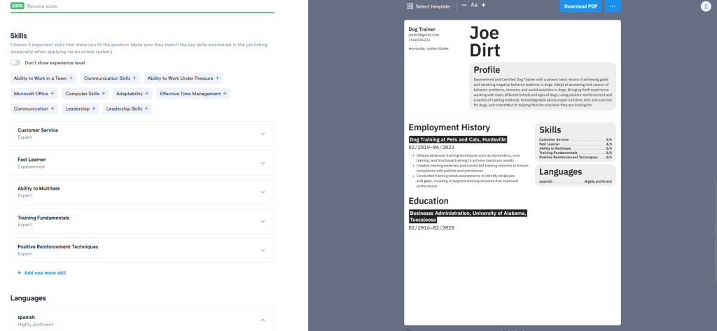 ai tools for resume writing examples